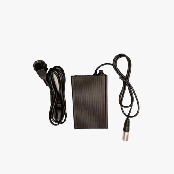 Chargeur 67.2V 2A