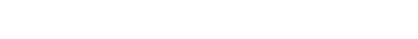 logo dualtron