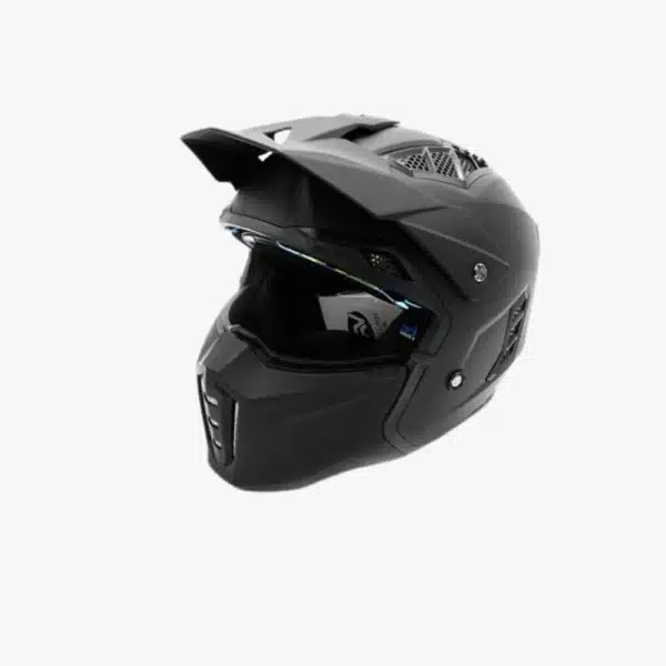 casque panthere noir